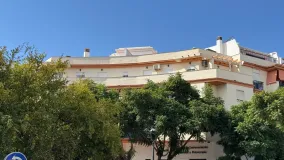 Buy Estepona Centre penthouse with 4 bedrooms