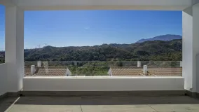 For sale 2 bedrooms duplex penthouse in Ocean Hills