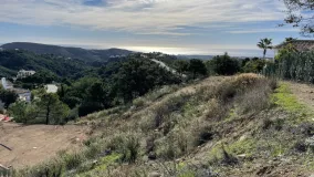 Parcela a la venta en Monte Mayor