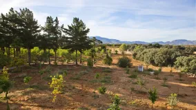 Ronda, casa de campo en venta