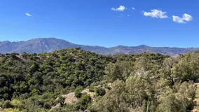 For sale New Golden Mile plot