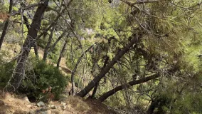 Benahavis Centro, parcela a la venta