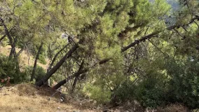 Benahavis Centro, parcela a la venta