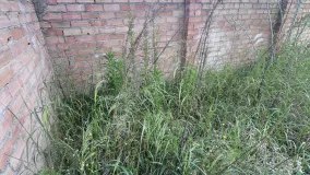 For sale plot in Marbella Centro