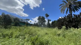 Plot for sale in Sotogrande Costa