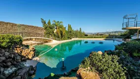 Se vende hacienda en Alhaurin de la Torre con 10 dormitorios