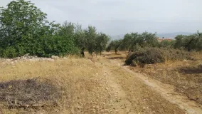 Parcela a la venta en Alhaurin de la Torre