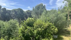 For sale Zona M plot
