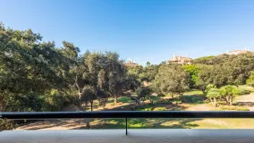 For sale apartment in Valgrande