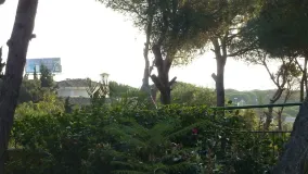 Comprar parcela en Hacienda las Chapas