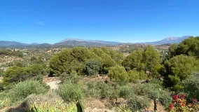 Comprar finca en Monda