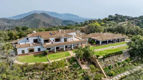 For sale finca in Marbella East with 7 bedrooms