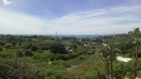 For sale Estepona East 5 bedrooms finca