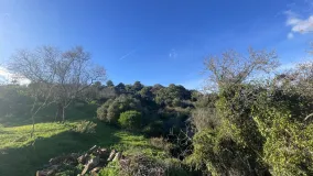 For sale finca in Estepona
