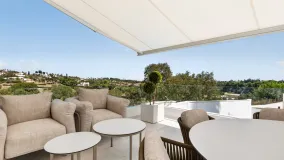 6 bedrooms finca for sale in Reinoso