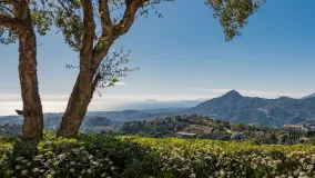 Se vende villa en La Zagaleta con 7 dormitorios
