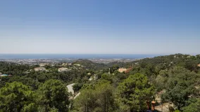 Comprar parcela en La Zagaleta
