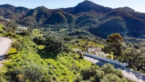 Parcela a la venta en Monte Mayor
