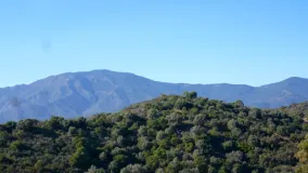 For sale plot in La Panera