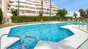 Se vende apartamento en Jardines de Andalucia