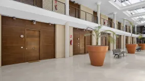 Office in Marbella for sale
