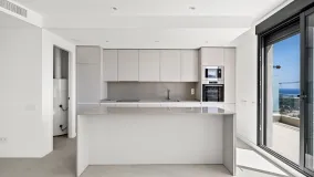 Penthouse for sale in Selwo