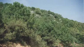 Plot in El Velerin for sale