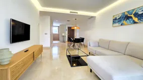 Buy 3 bedrooms duplex penthouse in San Pedro Playa