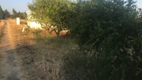 Reinoso, parcela a la venta