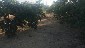 Reinoso, parcela a la venta