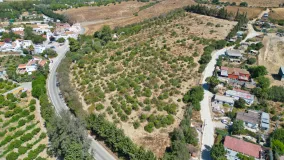For sale San Martin del Tesorillo 3 bedrooms finca