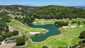 Plot for sale in Zona L