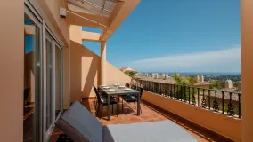 Buy penthouse in Vista Real