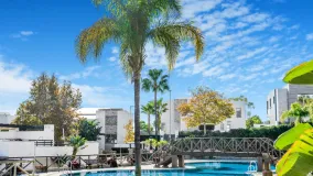 Comprar atico duplex de 3 dormitorios en Santa Clara