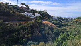 For sale plot in El Rosario
