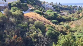For sale plot in El Rosario