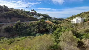 For sale plot in El Rosario