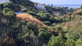 For sale plot in El Rosario