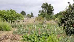 Chalet en venta de 2 dormitorios en Arroyo Vaquero