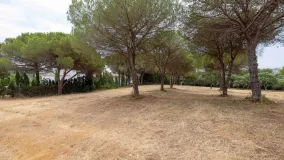 Parcela en venta en Sotogrande Alto