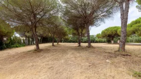 Parcela en venta en Sotogrande Alto