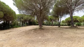 Parcela en venta en Sotogrande Alto