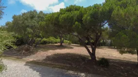 Parcela en venta en Sotogrande Alto