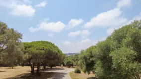 Se vende parcela en Sotogrande Alto