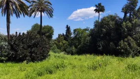 For sale Kings & Queens plot