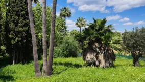 For sale Kings & Queens plot