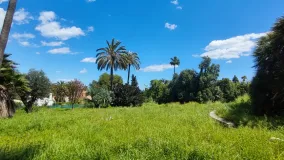 For sale Kings & Queens plot