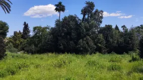 For sale Kings & Queens plot