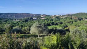 Plot for sale in Almenara
