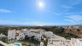 Los Altos de los Monteros duplex penthouse for sale